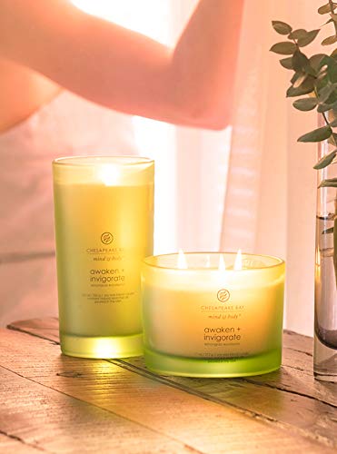 Chesapeake Bay Candle Scented Candle Peace + Tranquility (cashmere jasmine) 3-Wick Coffee Table Jar