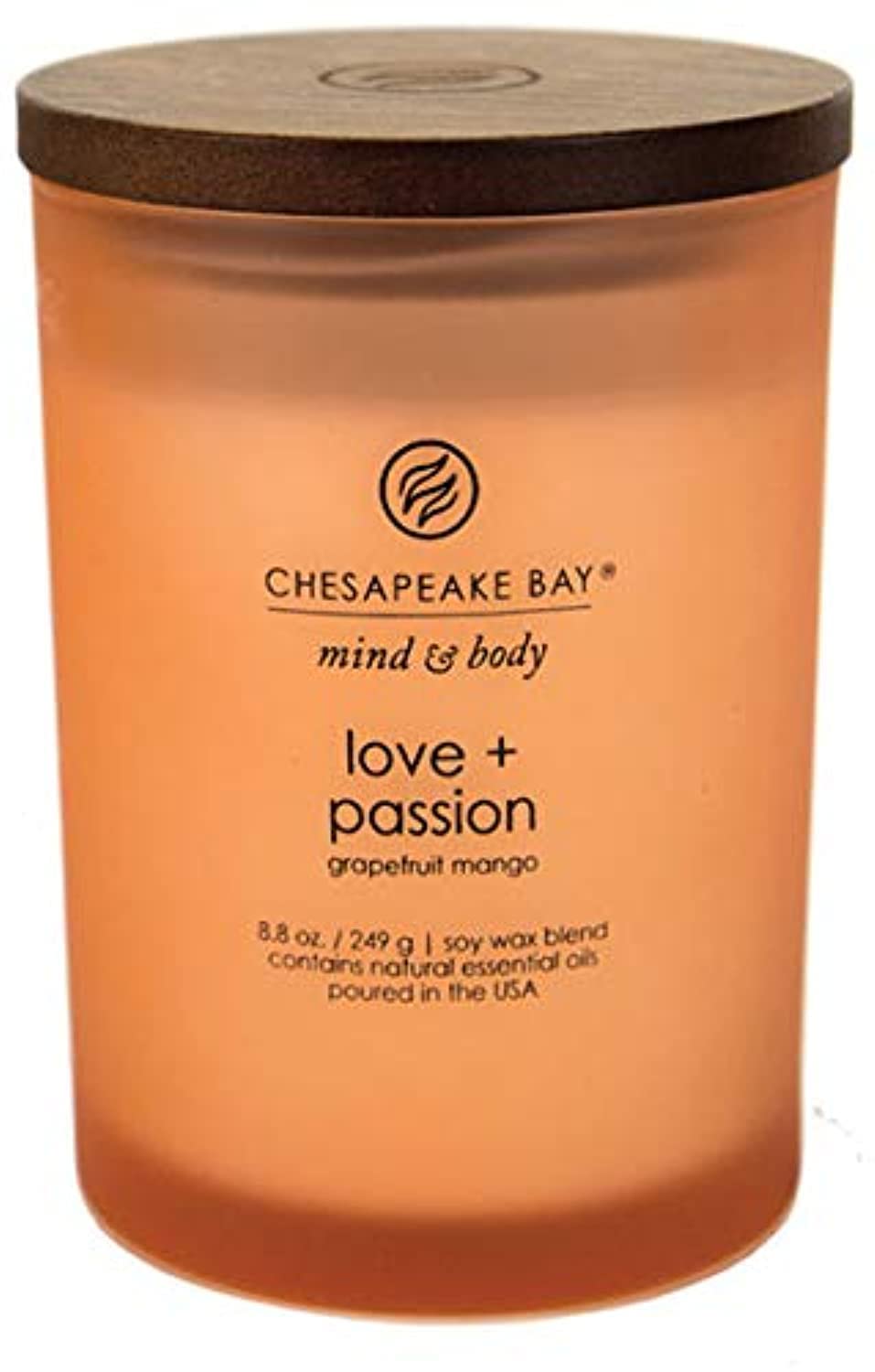Chesapeake Bay Candle Scented Candle Peace + Tranquility (cashmere jasmine) 3-Wick Coffee Table Jar