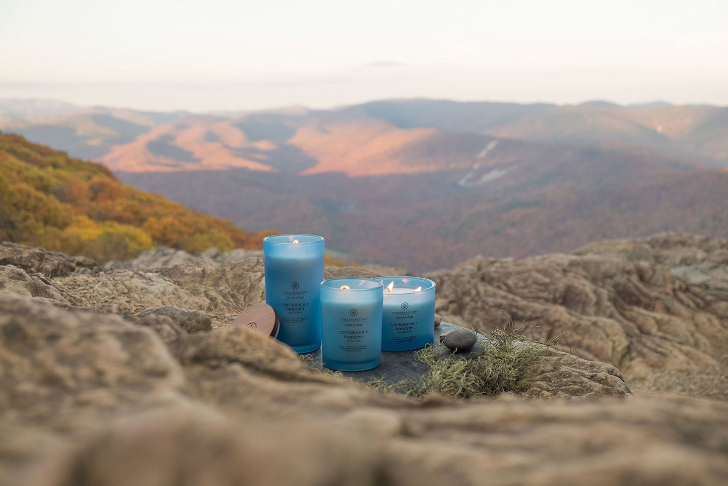 Chesapeake Bay Candle Scented Candle Peace + Tranquility (cashmere jasmine) 3-Wick Coffee Table Jar